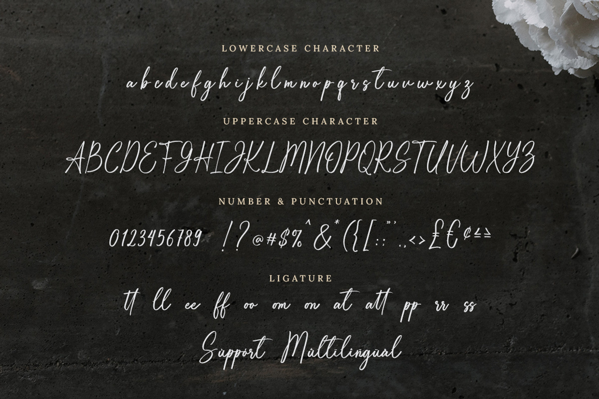 White Dahlia - Romantic Script Font, a Handwritten Font by Bluestype Studio (Photo 9 of 9)