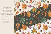 Fall Leaves | Cliparts & Pattern, a Decorative Illustration by OkPen (Thumbnail 4 of 5)