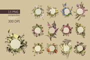 Vector HERBS, a Healthcare Illustration by Izobova (Thumbnail 4 of 4)