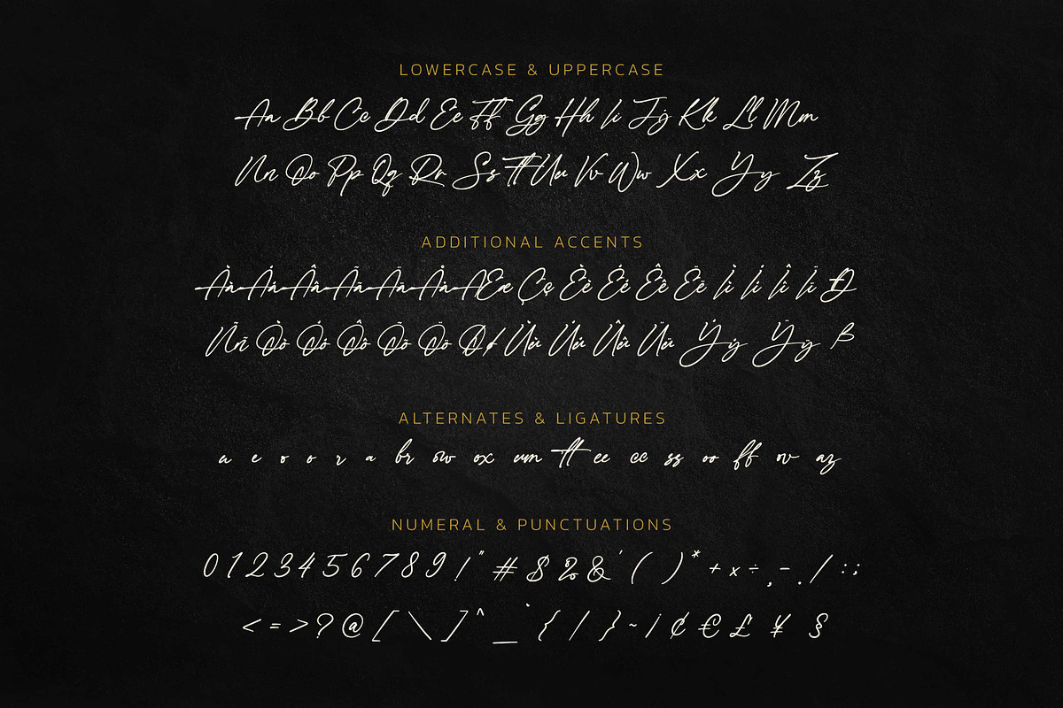 Sale!The Checkmate-Stylish Signature, a Script Font by Almarkhatype (Photo 9 of 10)