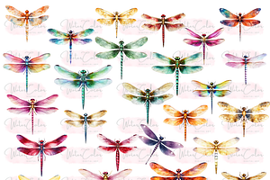 The Dragon Fly Collection Clipart