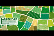 Farm field top view of plantation, a Seasonal Illustration by Buch&Bee (Thumbnail 3 of 3)