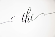 Fifty pre-made elements of THE, a Symbol Font by Blessed Print (Thumbnail 19 of 20)