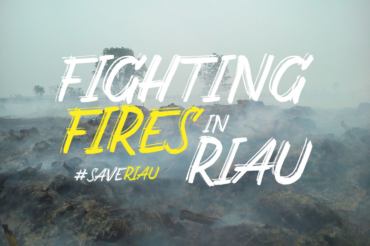 Carbonera Brush Fonts preview 2