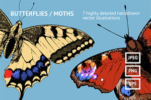 Butterflies / Moths