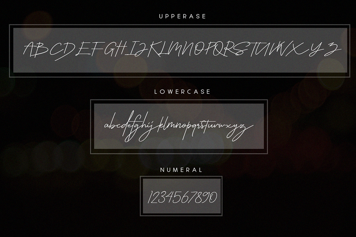 Callifornia | Handwritten Signature, a Script Font by Ardana Creative (Photo 11 of 13)