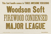 The Wood Type Font Bundle, a Font by Komet & Flicker (Thumbnail 12 of 13)