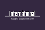 Kaneda Gothic, a Sans Serif Font by Dharma Type (Thumbnail 5 of 10)