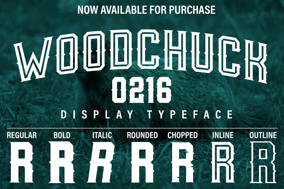 Woodchuck 0216 Display Typeface