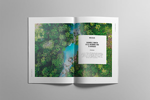 RAINFOREST Brochure / Portfolio