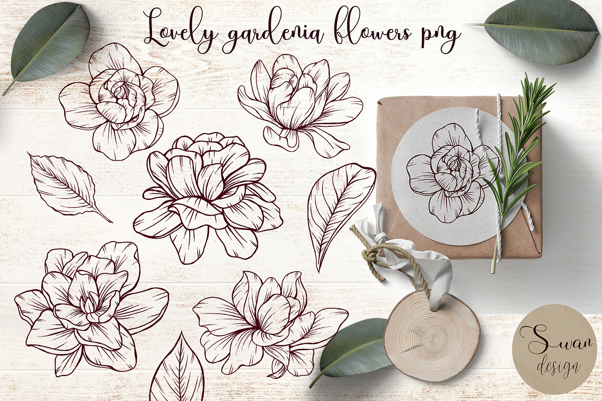 Elegant vintage gardenia flowers png, a Decorative Illustration by Mrs.Swan_Design (Photo 2 of 7)