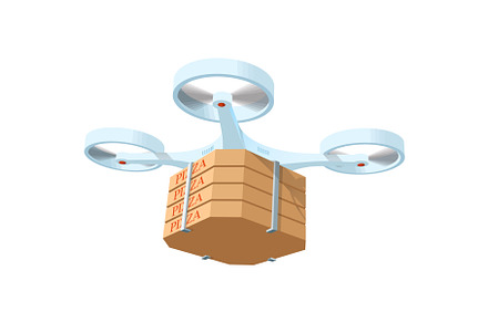 Drone fastfood package delivery