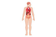 Human anatomy diagram, a Healthcare Illustration by Yayasya (Thumbnail 1 of 3)