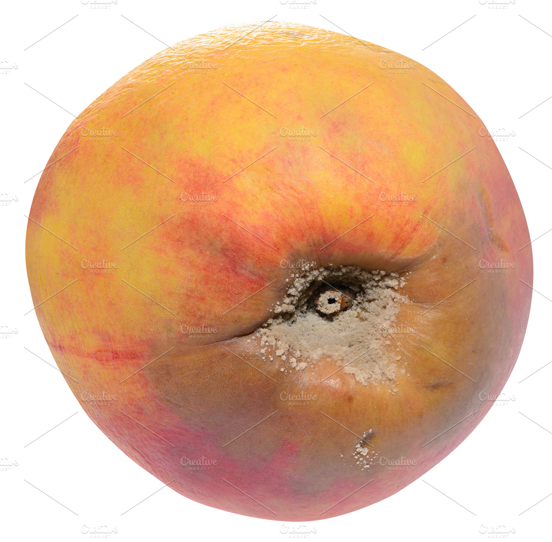 A spoiled, rotting peach with a distinct area of white and, a Food & Drink Photo by ndanko