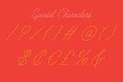 Ballpoint Script, a Script Font by Drew Melton (Thumbnail 4 of 5)