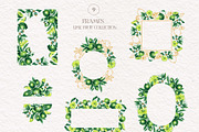 Lime Watercolor Collection, a Food Illustration by SashaKondr (Thumbnail 14 of 15)