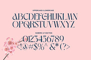 Aluest - Elegant Modern Font, a Serif Font by Luna Shop (Thumbnail 2 of 7)