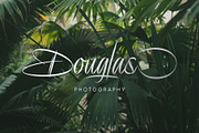 Delion | Signature Font, a Script Font by Lemonthe (Thumbnail 7 of 10)