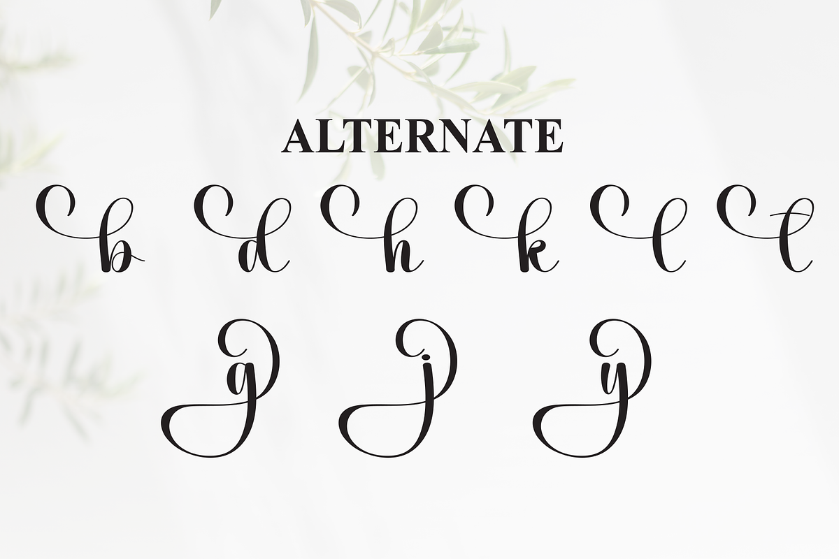 Bigday | Script Font, a Handwritten Font by Scratchones (Photo 8 of 9)