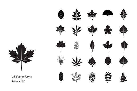 Leaves Vector Icons