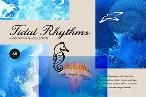 Summer Sea Textures & Illustrations