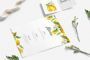 Citrus Watercolor Collection