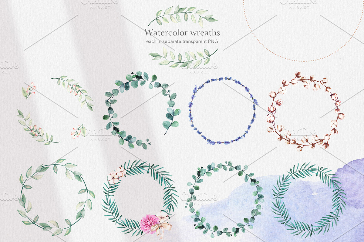 Cotton Botany Watercolor Collection, a Decorative Illustration by Volha Studio (Photo 6 of 9)