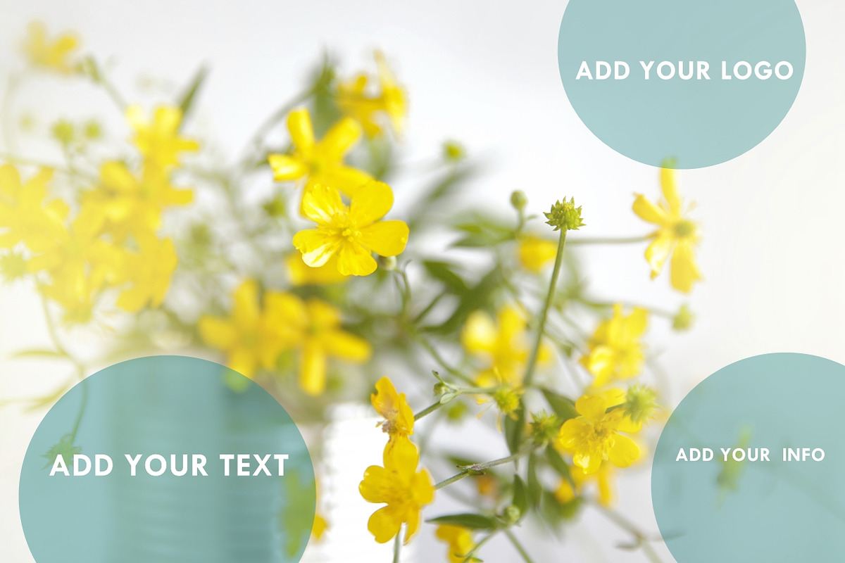 Wilde flower - Summer - Cowslip, a Background Photo by Susa's pics (Photo 2 of 3)