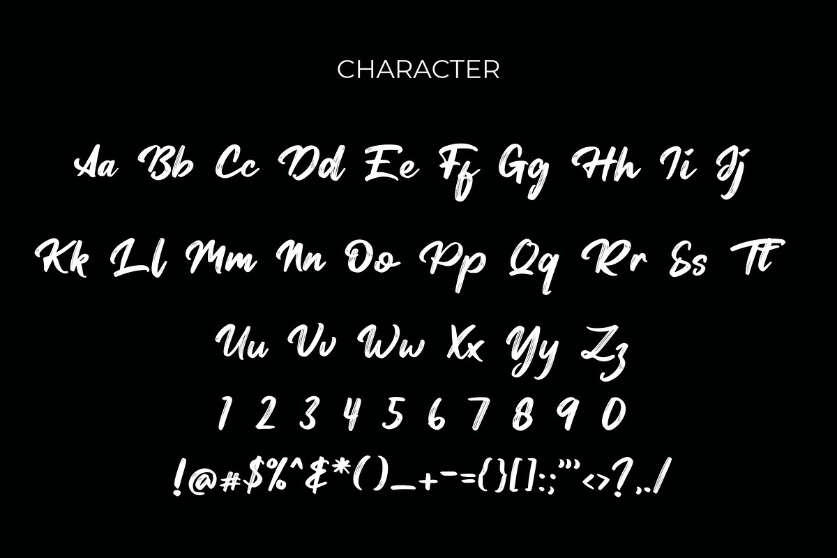 Tersanjung Modern Script Brush Font preview 2