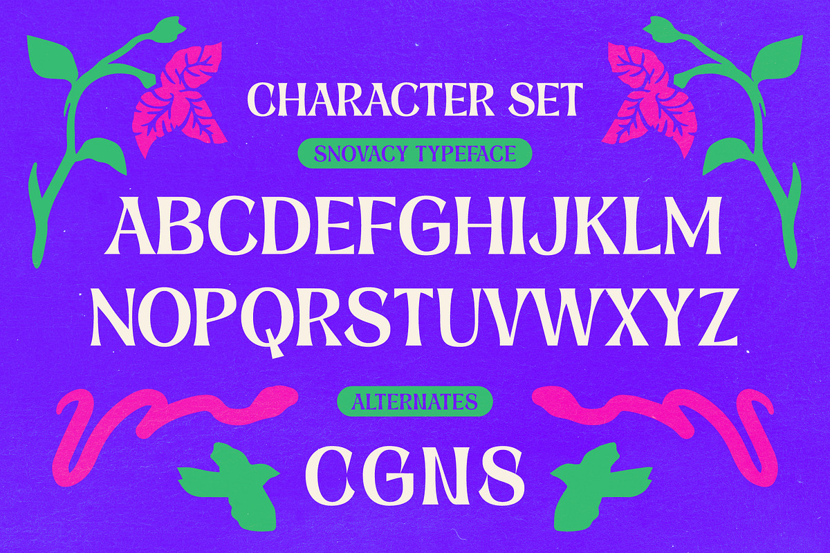 Snovacy - Psychedelic Display Font, a Sans Serif Font by Drizy (Photo 3 of 10)