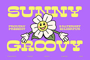 Sunny Groovy Retro Display Font, a Serif Font by timelesstype.co (Thumbnail 1 of 20)