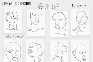 LINE ART COLLECTION BLACK BEAUTY