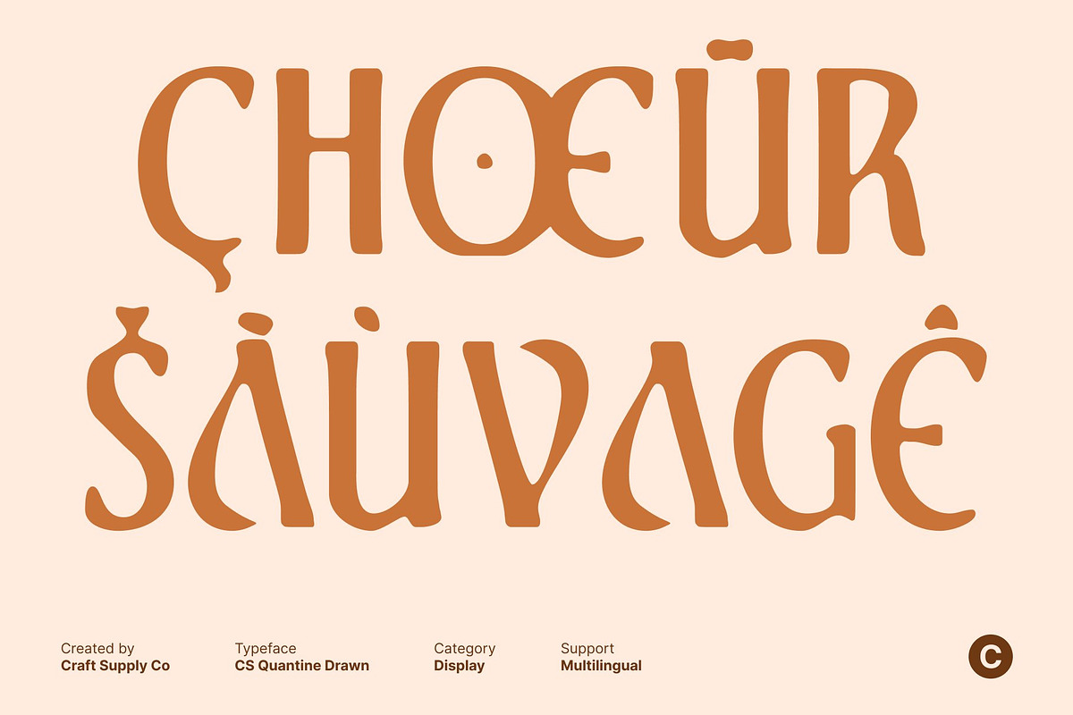 CS Quantine Drawn, a Serif Font by Craft Supply Co. (Photo 6 of 8)