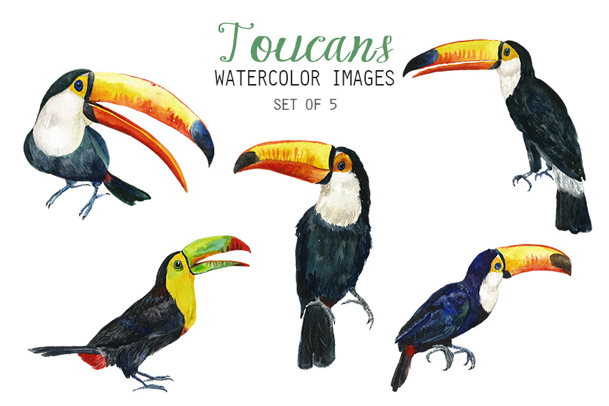 Watercolor Toucans Clipart, an Animal Illustration by YesFoxy