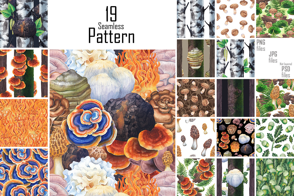 Watercolor Medicinal Mushrooms, a Healthcare Illustration by Ekaterina Glazkova (Photo 8 of 9)