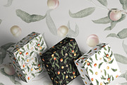 Vintage Peach Botanical Graphics #02, an Object Illustration by Olga Begak Art & Design (Thumbnail 6 of 8)