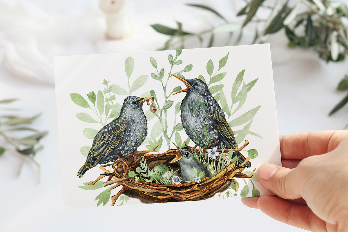 Starling family, spring bird, plants, an Animal Illustration by Artmanata (Photo 10 of 16)