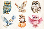 Watercolor Owl & Owlet Clipart, an Illustration by Dream Creation (Thumbnail 3 of 5)
