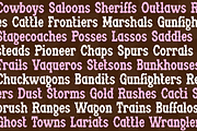 RODEO SPURS Fancy Cute Western Font, a Serif Font by Blush Font Co. (Thumbnail 2 of 5)