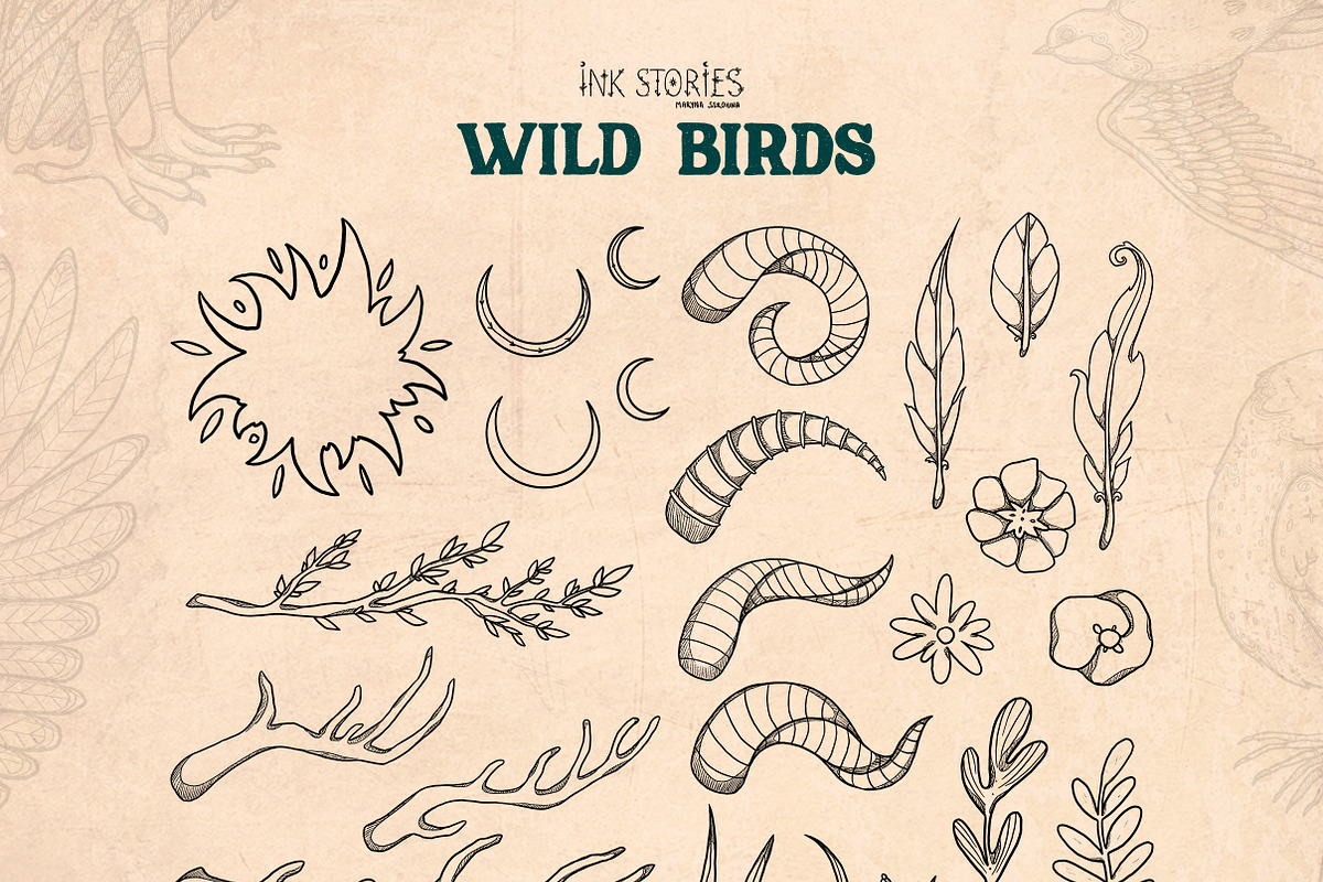 Wild Birds, an Animal Illustration by Ink Stories (Photo 9 of 20)