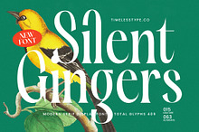 Silent Gingers Modern Serif Font