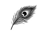 Peacock Feather Silhouette Bundle, an Illustration by jahid234 (Thumbnail 24 of 31)
