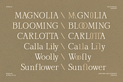 Oonelle - Elegant Serif Display, a Font by Indotype Foundry (Thumbnail 2 of 10)