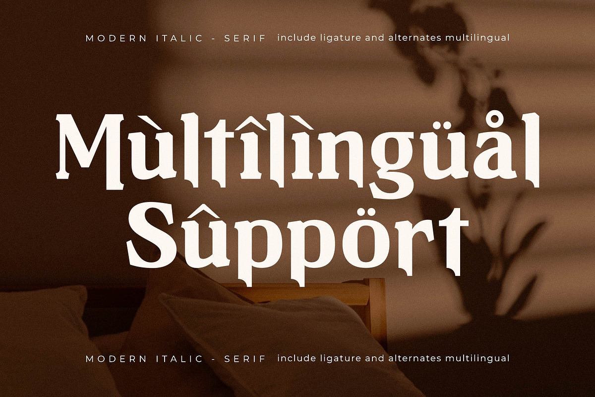 Neraphic A Modern Serif Font, a Serif Font by Storytype Studio (Photo 12 of 15)