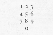 Wacian Serif Font Family, a Serif Font by Creativetacos (Thumbnail 5 of 9)