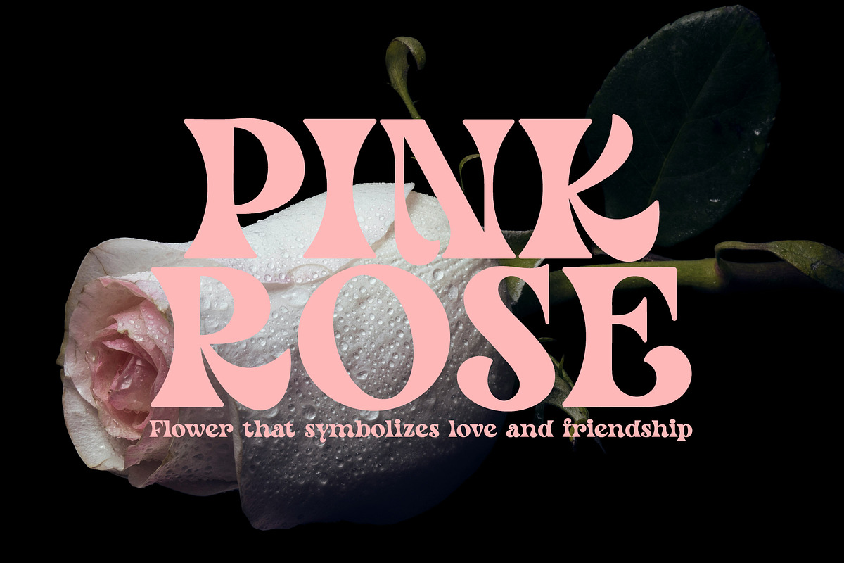 Mayo Age - Modern Vintage Serif Font, a Serif Font by Airotype (Photo 2 of 13)