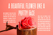 Roles Update!! Ligature Sans Serif, a Sans Serif Font by Perfectype (Thumbnail 4 of 18)