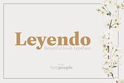 Leyendo font family by FontPeople, a Slab Serif Font by FontPeople (Thumbnail 1 of 6)