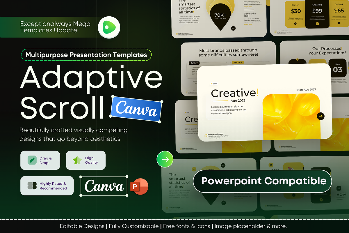 Multipurpose Presentation Templates, a Presentation Template by Exceptionalways (Photo 1 of 6)