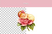Sleeping Baby on Pink Rose- Clipart, a Person Illustration by InkyQueenArt (Thumbnail 3 of 4)